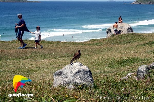 Praia do Santinho