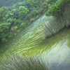 Lagoinha do Leste - Dani Medeiros