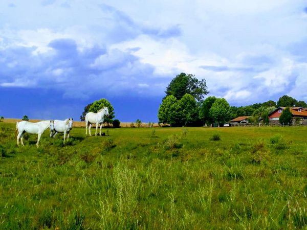 Turismo Rural em Florianópolis e Santa Catarina