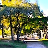 Praça Santos Dumont
