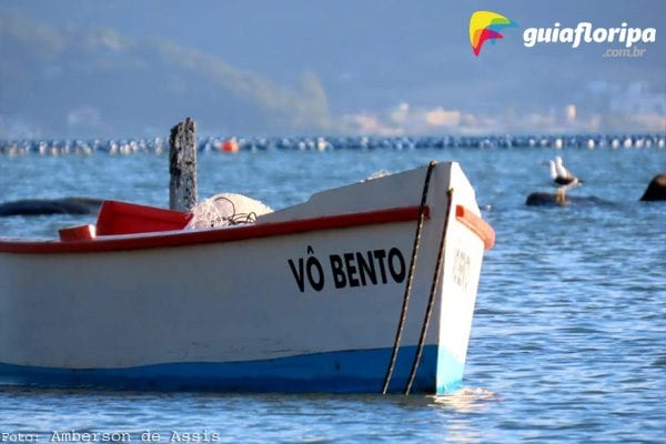 Ribeirão da Ilha - Maricultura