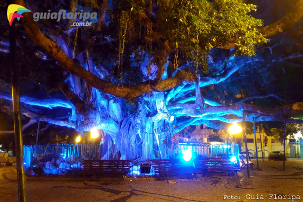 Iluminação Elétrica Figueira Florianópolis - Bairro Centro