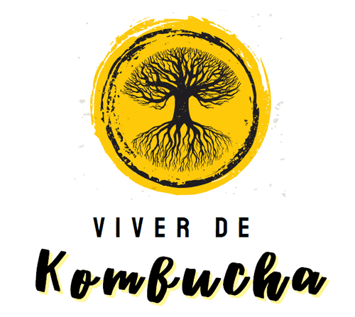 kombucha em florianopolis
