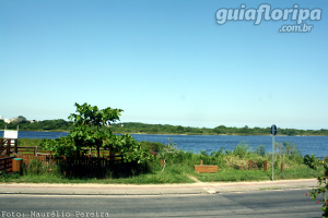Lagoa Pequena - Bairro Rio Tavares
