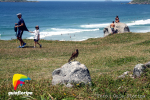 Praia do Santinho
