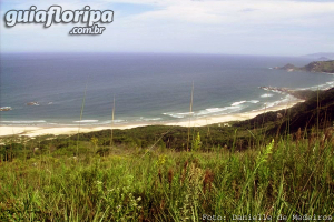 Praia da Galheta entre a Barra da Lagoa e a Praia Mole