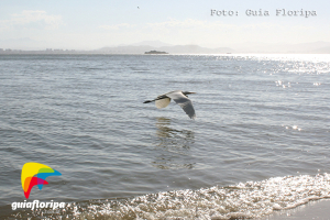 Praia de Cacupé