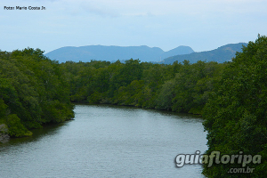 Rio Tavares
