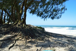 Praia do Moçambique