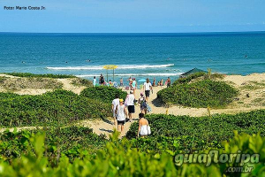 Trilhas de acesso ao longo da praia
