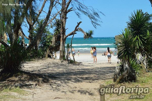 Riozinho - Praia do Campeche