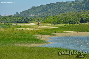 Restinga da Praia de Ponta das Canas