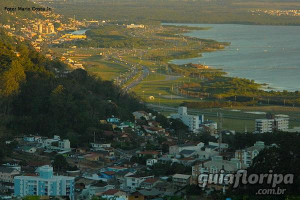 Saco dos Limões