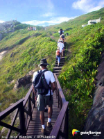 Trilha do Morro das Aranhas