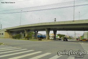 Viaduto de Capoeiras